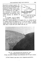 giornale/BVE0536396/1904/unico/00000215