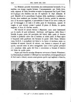 giornale/BVE0536396/1904/unico/00000262