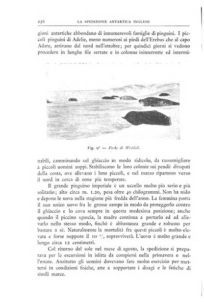 Bollettino della Società geografica italiana