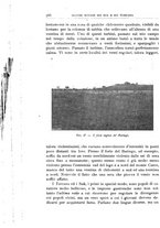 giornale/BVE0536396/1908/unico/00000594