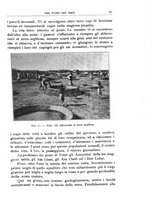 giornale/BVE0536396/1911/unico/00000075