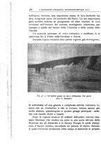 giornale/BVE0536396/1913/unico/00000508