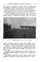 giornale/BVE0536396/1913/unico/00000509