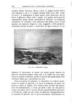 giornale/BVE0536396/1913/unico/00000640