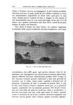 giornale/BVE0536396/1913/unico/00000644