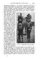 giornale/BVE0536396/1913/unico/00000831