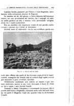giornale/BVE0536396/1913/unico/00000921