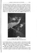 giornale/BVE0536396/1913/unico/00001133
