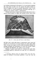 giornale/BVE0536396/1913/unico/00001257