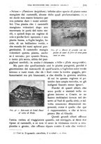 giornale/BVE0536396/1914/V.3.2/00000019