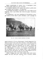 giornale/BVE0536396/1916/V.5.2/00000183