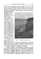 giornale/BVE0536396/1926/unico/00000233