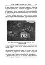 giornale/BVE0536396/1927/unico/00000199