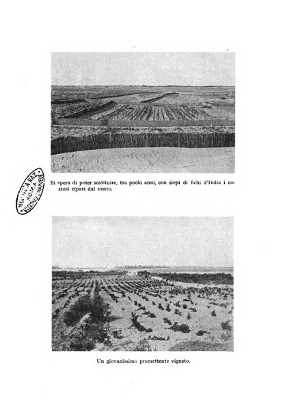 Bollettino della Società geografica italiana