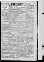 giornale/BVE0664750/1894/n.313bis
