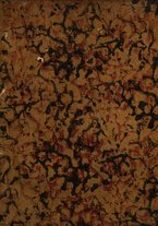 giornale/BVE0697101/1780/unico