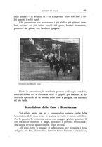 giornale/CAG0013439/1913/unico/00000091