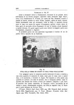 giornale/CAG0013439/1914/unico/00000298