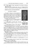 giornale/CAG0013439/1914/unico/00000363
