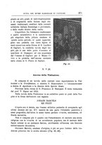 giornale/CAG0013439/1914/unico/00000381