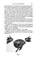 giornale/CAG0050194/1909/unico/00000145