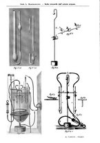 giornale/CAG0050194/1909/unico/00000345