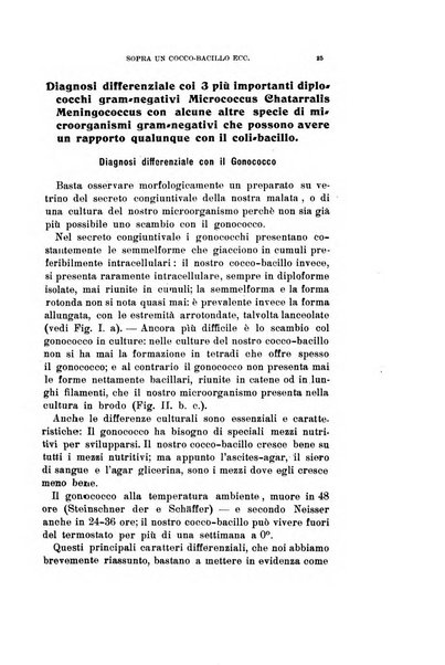 Archivio di ottalmologia giornale mensile