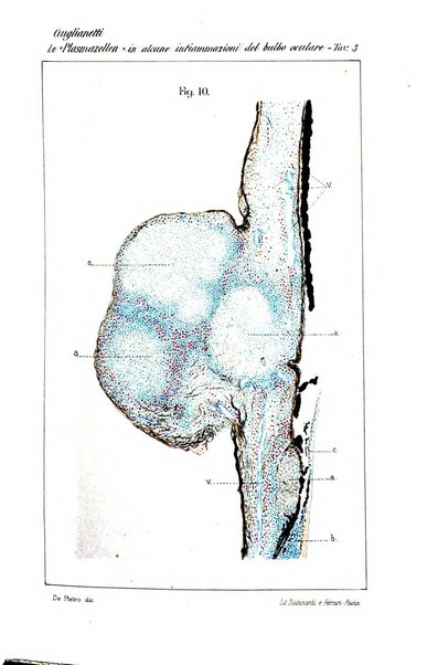 Archivio di ottalmologia giornale mensile