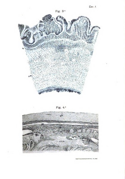 Archivio di ottalmologia giornale mensile