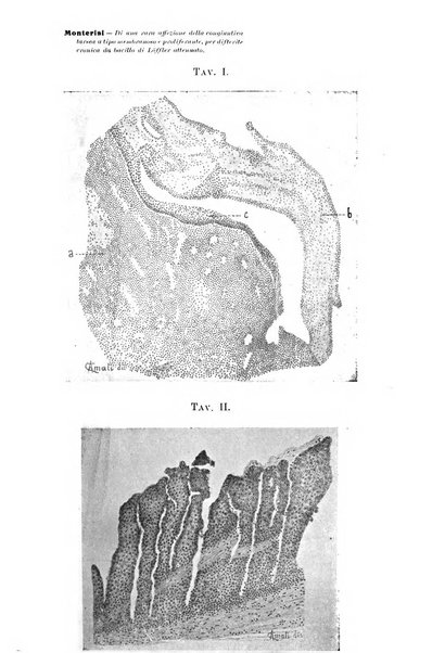 Archivio di ottalmologia giornale mensile