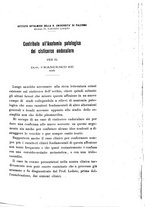 giornale/CAG0050194/1911/unico/00000579