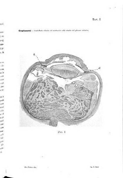 Archivio di ottalmologia giornale mensile