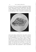 giornale/CAG0050194/1912-1913/unico/00000126