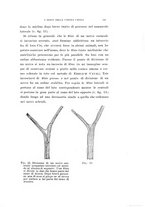 giornale/CAG0050194/1912-1913/unico/00000593