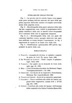 giornale/CAG0050194/1912/unico/00000270