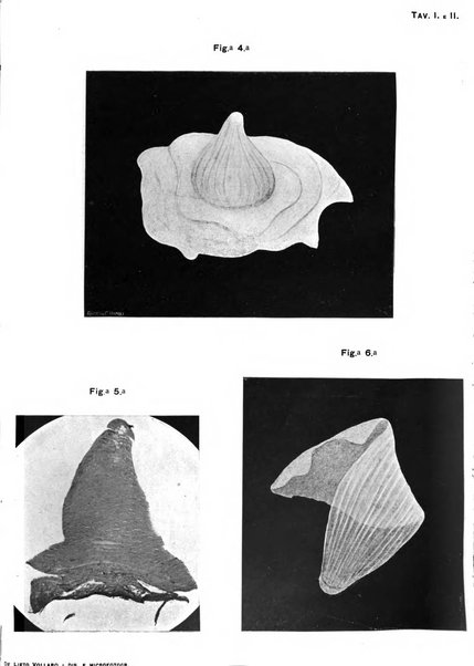 Archivio di ottalmologia giornale mensile