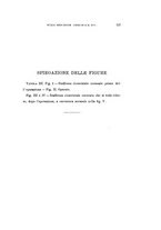 giornale/CAG0050194/1914/unico/00000167