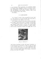 giornale/CAG0050194/1916/unico/00000024