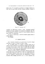 giornale/CAG0050194/1916/unico/00000039