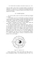 giornale/CAG0050194/1916/unico/00000051