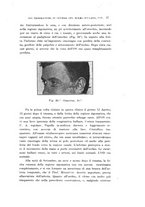 giornale/CAG0050194/1916/unico/00000061