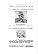 giornale/CAG0050194/1916/unico/00000214