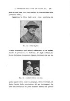 giornale/CAG0050194/1916/unico/00000215