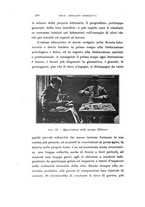 giornale/CAG0050194/1916/unico/00000226