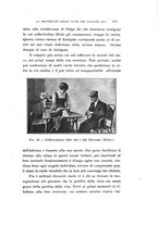 giornale/CAG0050194/1916/unico/00000227