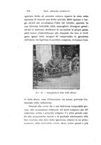 giornale/CAG0050194/1916/unico/00000228