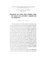 giornale/CAG0050194/1916/unico/00000236