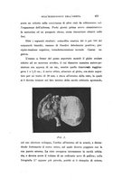 giornale/CAG0050194/1916/unico/00000523