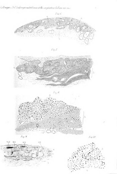 Archivio di ottalmologia giornale mensile