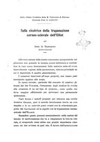 giornale/CAG0050194/1917/unico/00000287